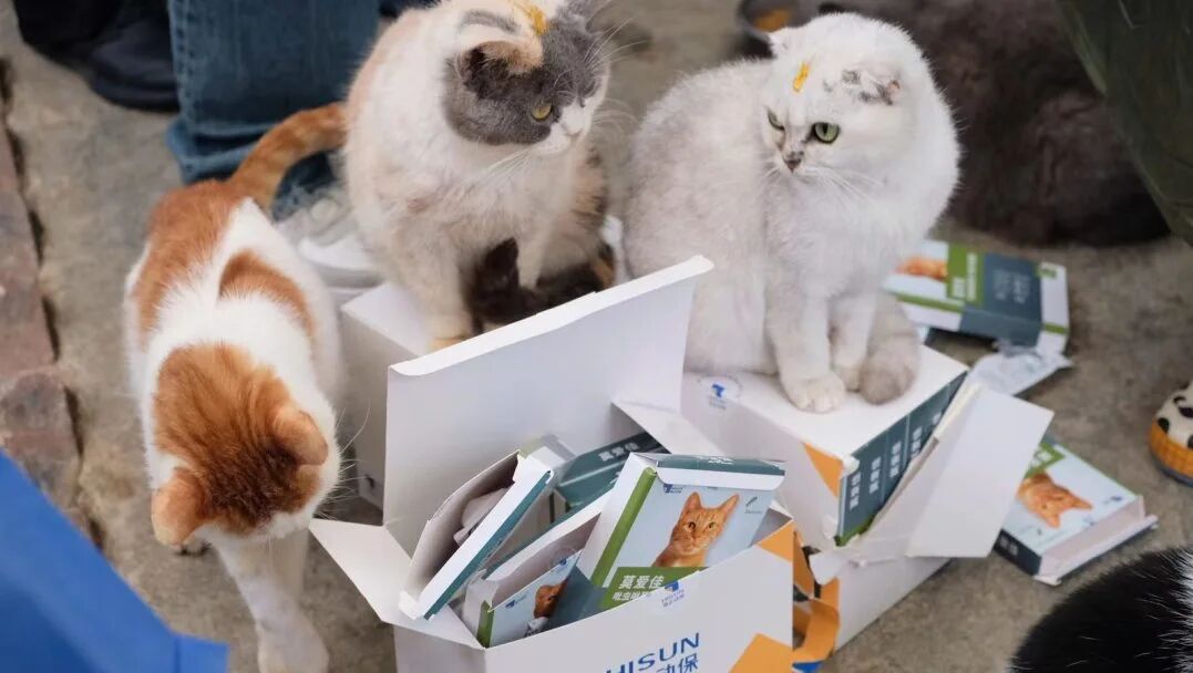 ��TA�ѱ��İ��������