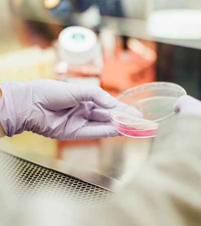 �з����ļ�ʷ���ɾ�